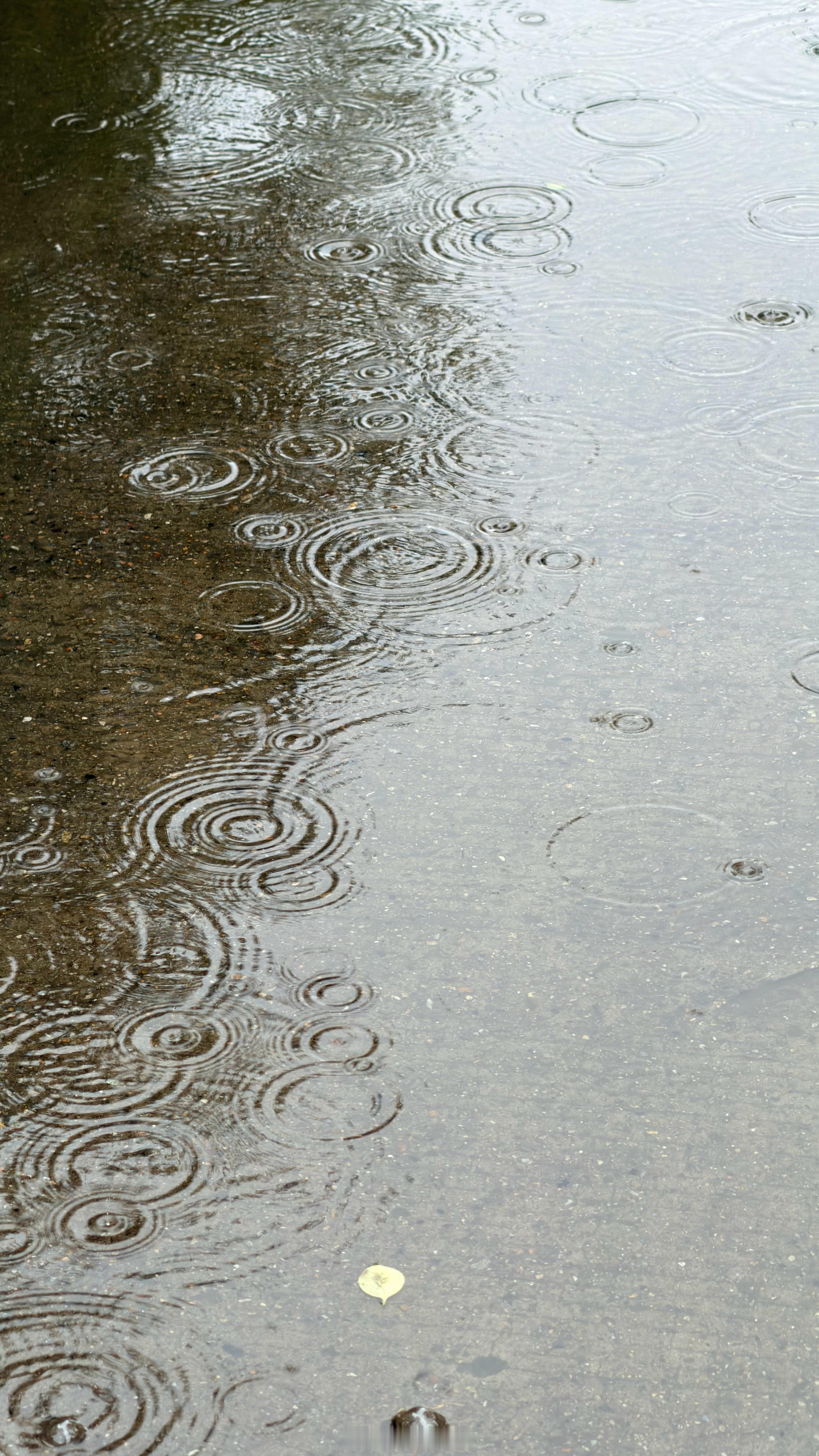 在同学们，下雨了，你那里呢？一场秋雨一场凉注意别感冒哦  ​​​