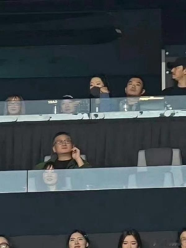 疑似王鹤棣网传女友去了演唱会这女生戴着口罩的，你们是怎么确定长啥样的？怎么就看出