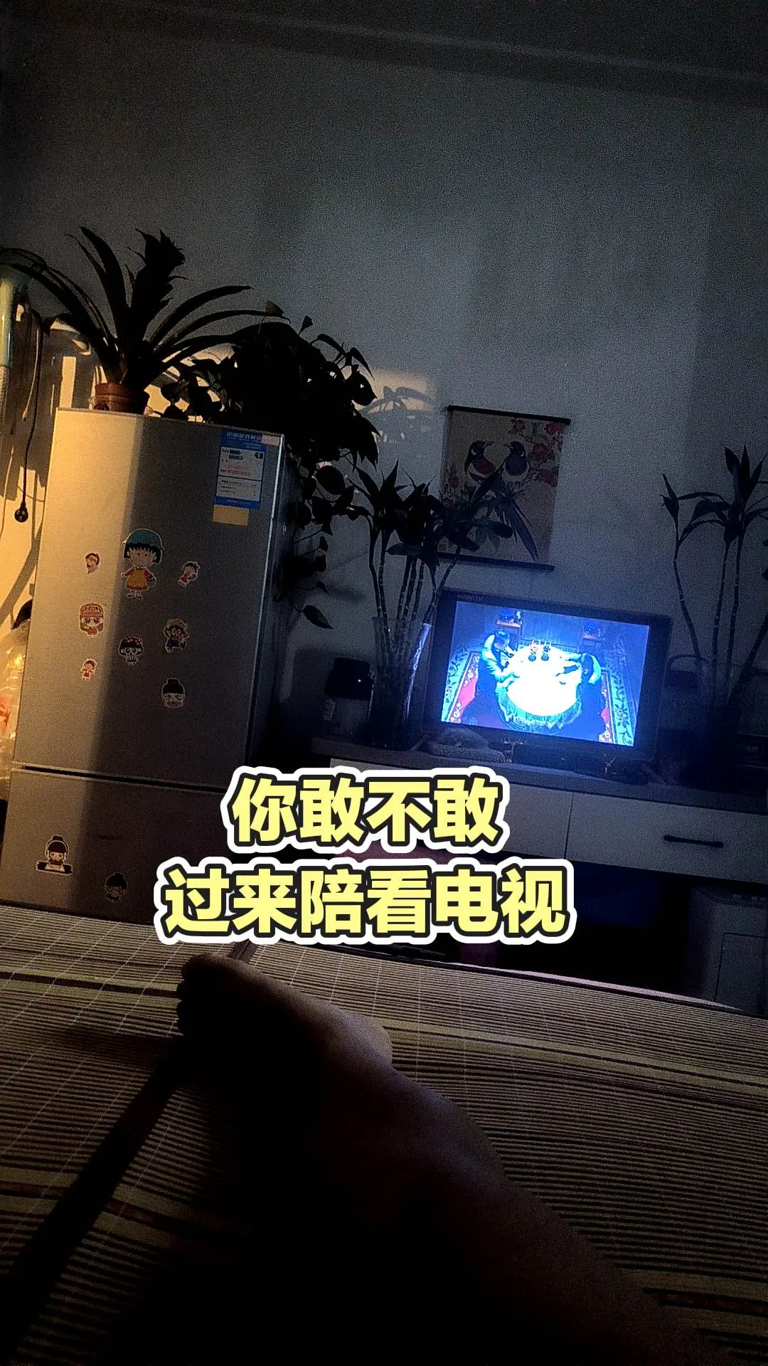 每日分享