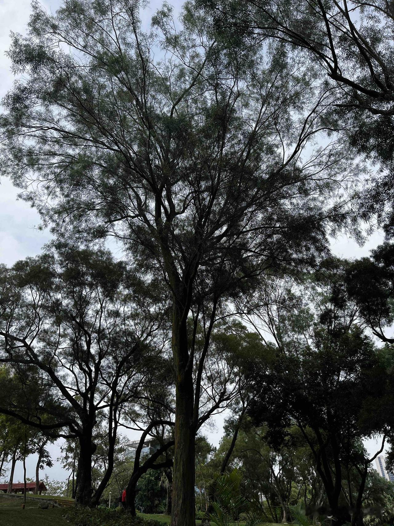《资治通鉴》：一个人开口闭口都是仁义道德，你要注意了，

这是想吃人，

比直接
