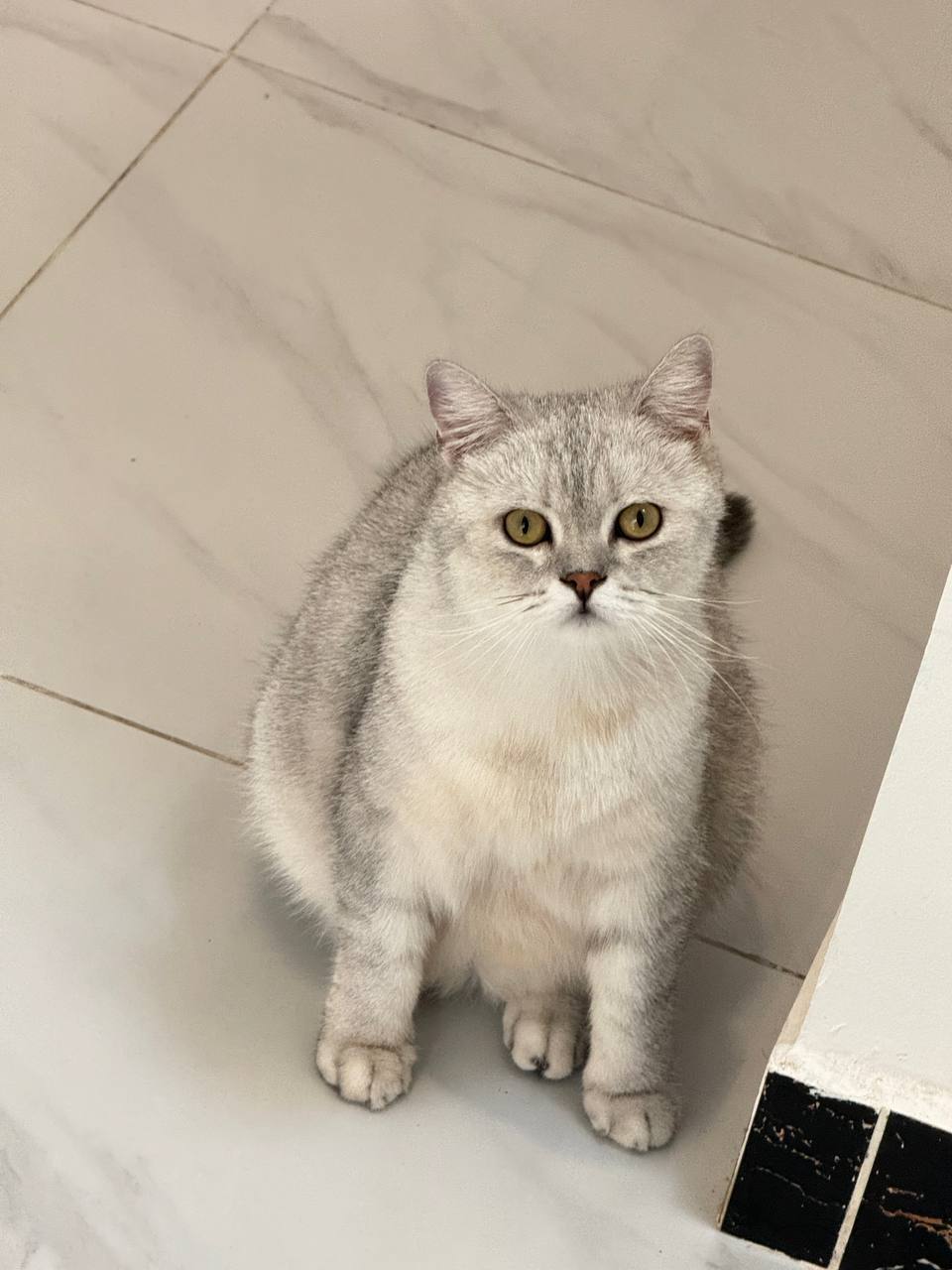 2026 年3月31日，位于卑尔根的布兰体育场将上演一场引人关注的国际友谊赛，苏