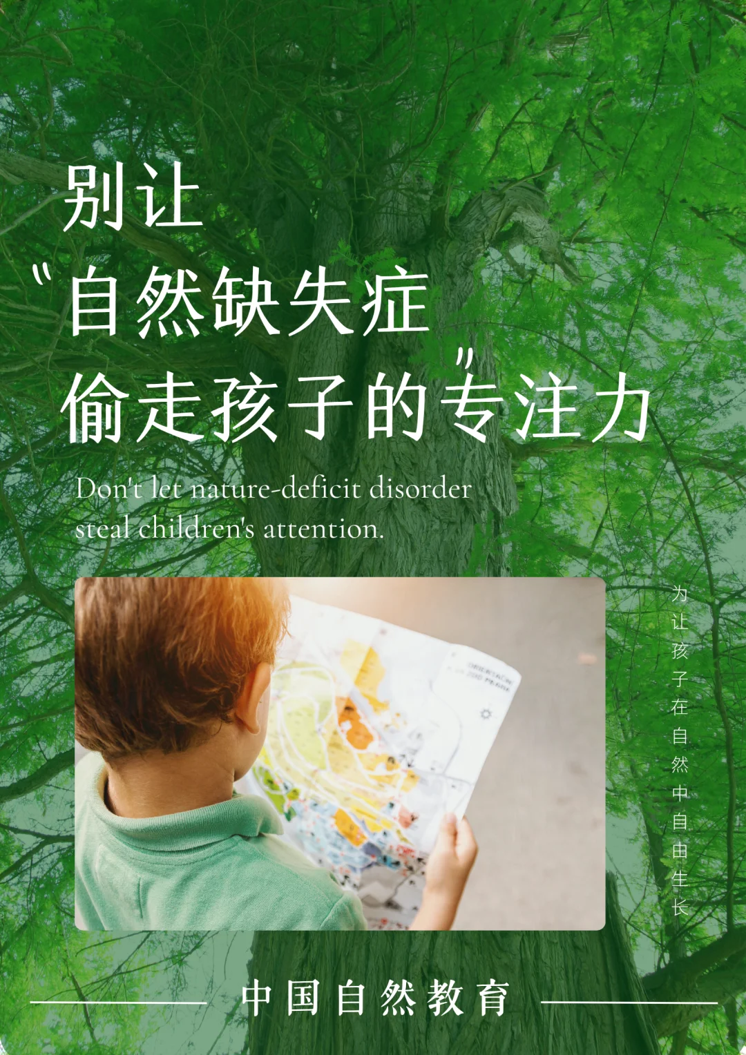 科普知识｜别让“自然缺失症”偷走孩子的专注力 当我们把孩子还给自然，并...