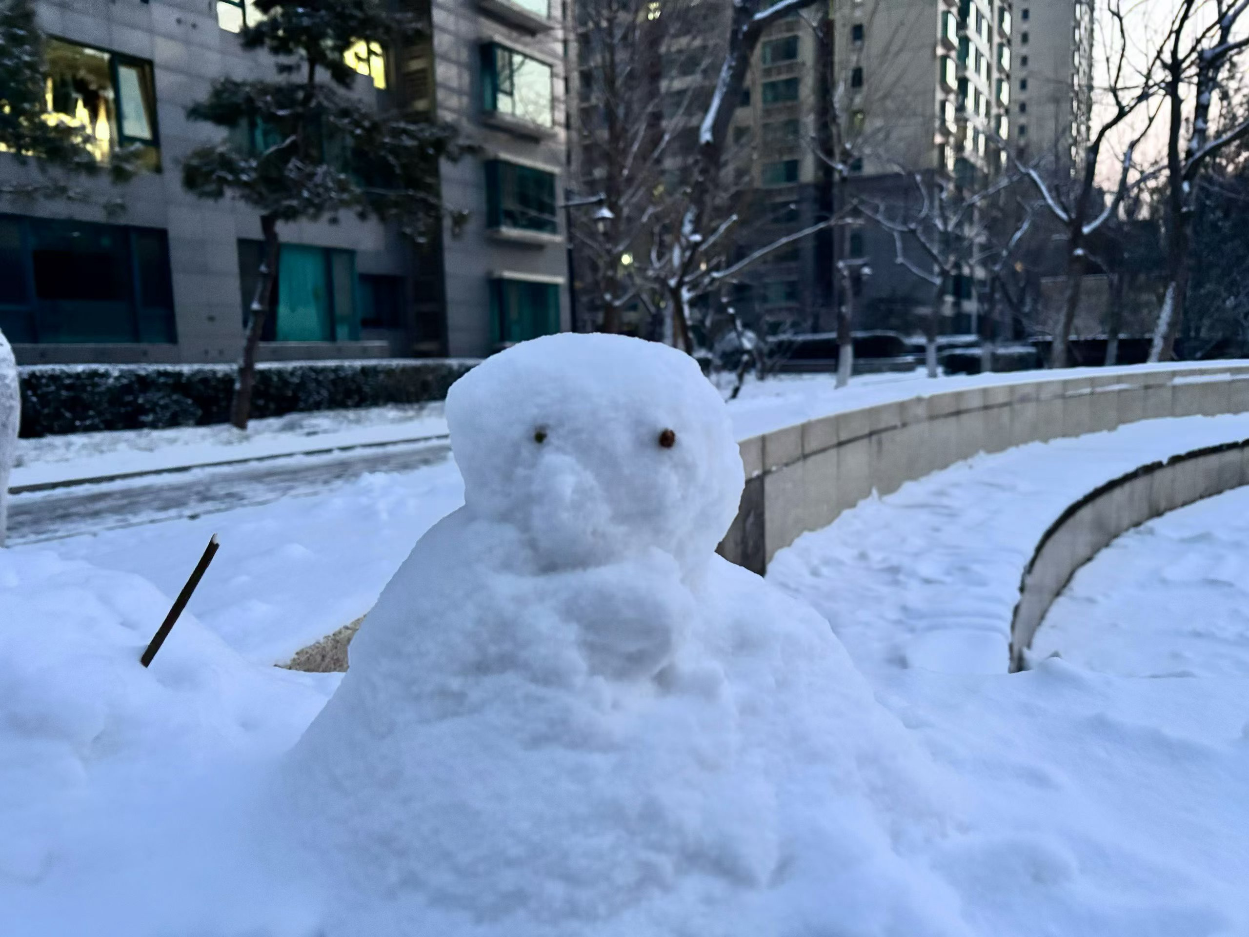 谁半夜起来堆的，昨天还没有 