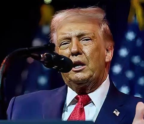 美国打算对伊朗动手之前，突然找到熊猫聊军控，特朗普这步棋可藏着不少门道！美伊冲突