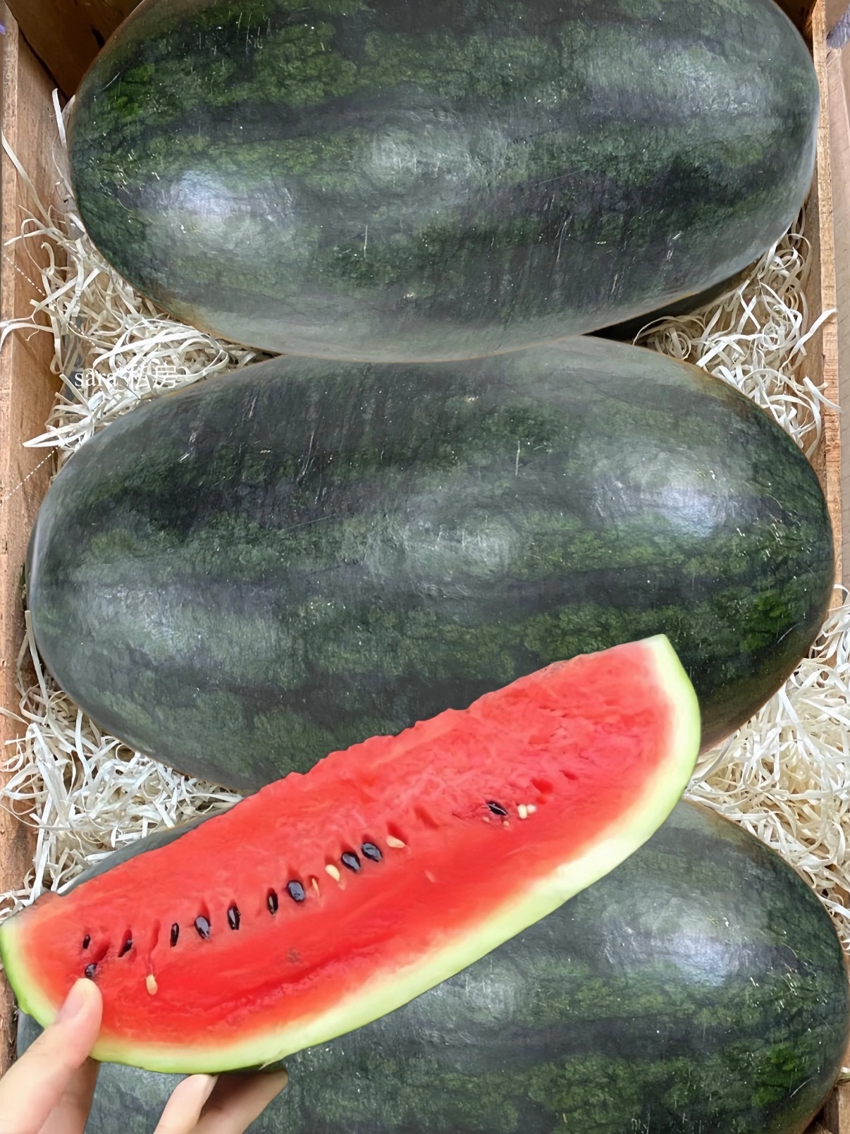 被时代淘汰的水果绿皮橘子、青苹果、黑美人西瓜，这些小时候随处可见的水果，如今慢慢