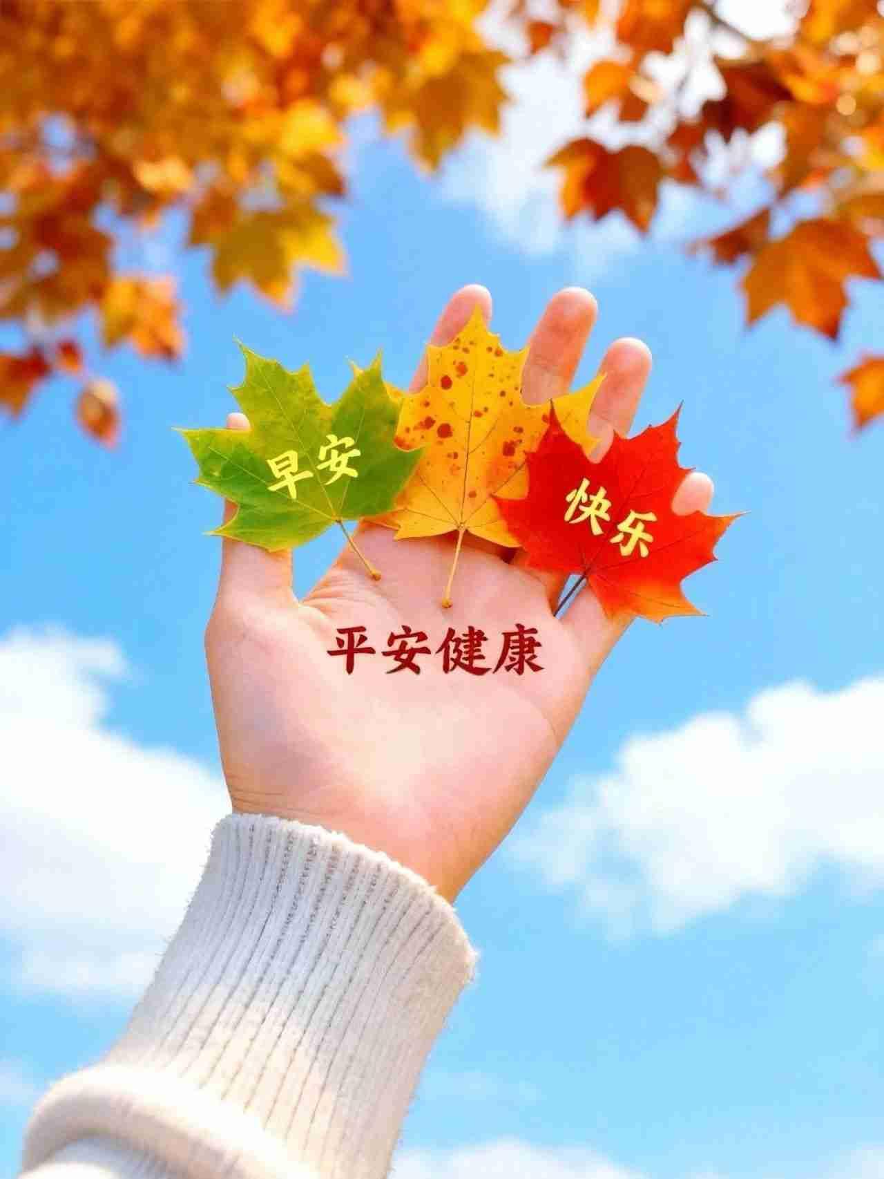生活可爱，日子欢喜 
带一颗微笑的心开启今日的美好
心怀希望，万物明朗
崭新的一