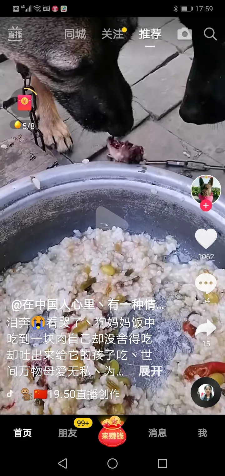 狗妈妈在饭碗中吃到了唯一一块肉，它毫不犹豫的将这块肉给了它的孩子吃。[流泪][流
