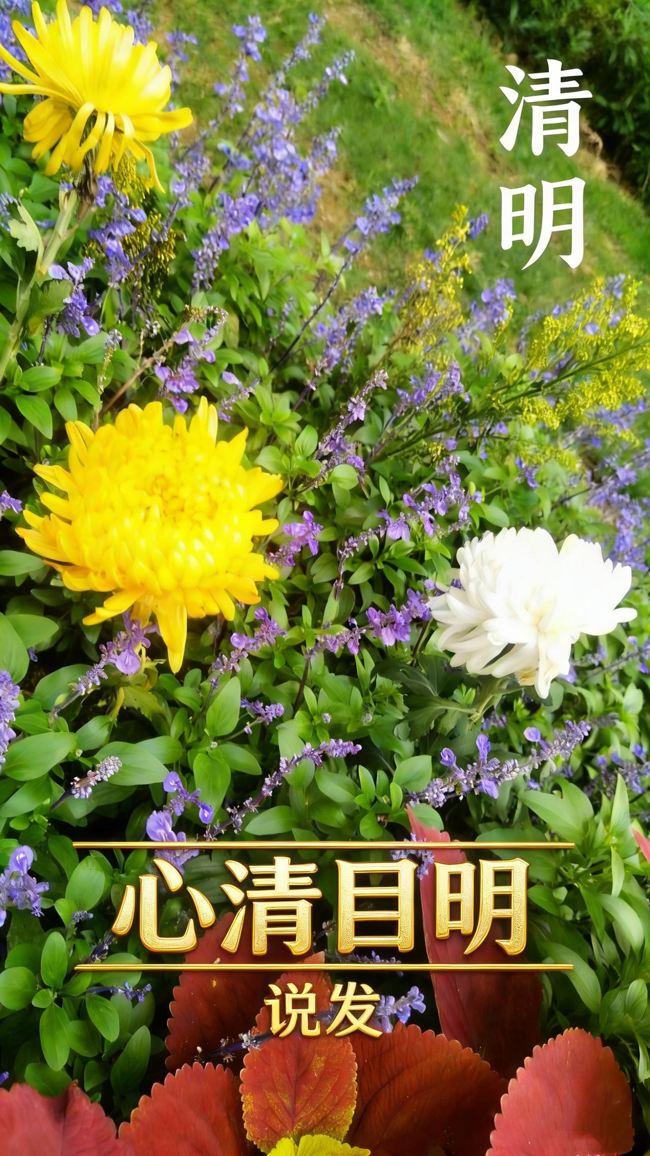 低谷从非人生的终点，
是命运磨心的试炼场。
钱散可挣，职失能闯，
真正的溃败，从