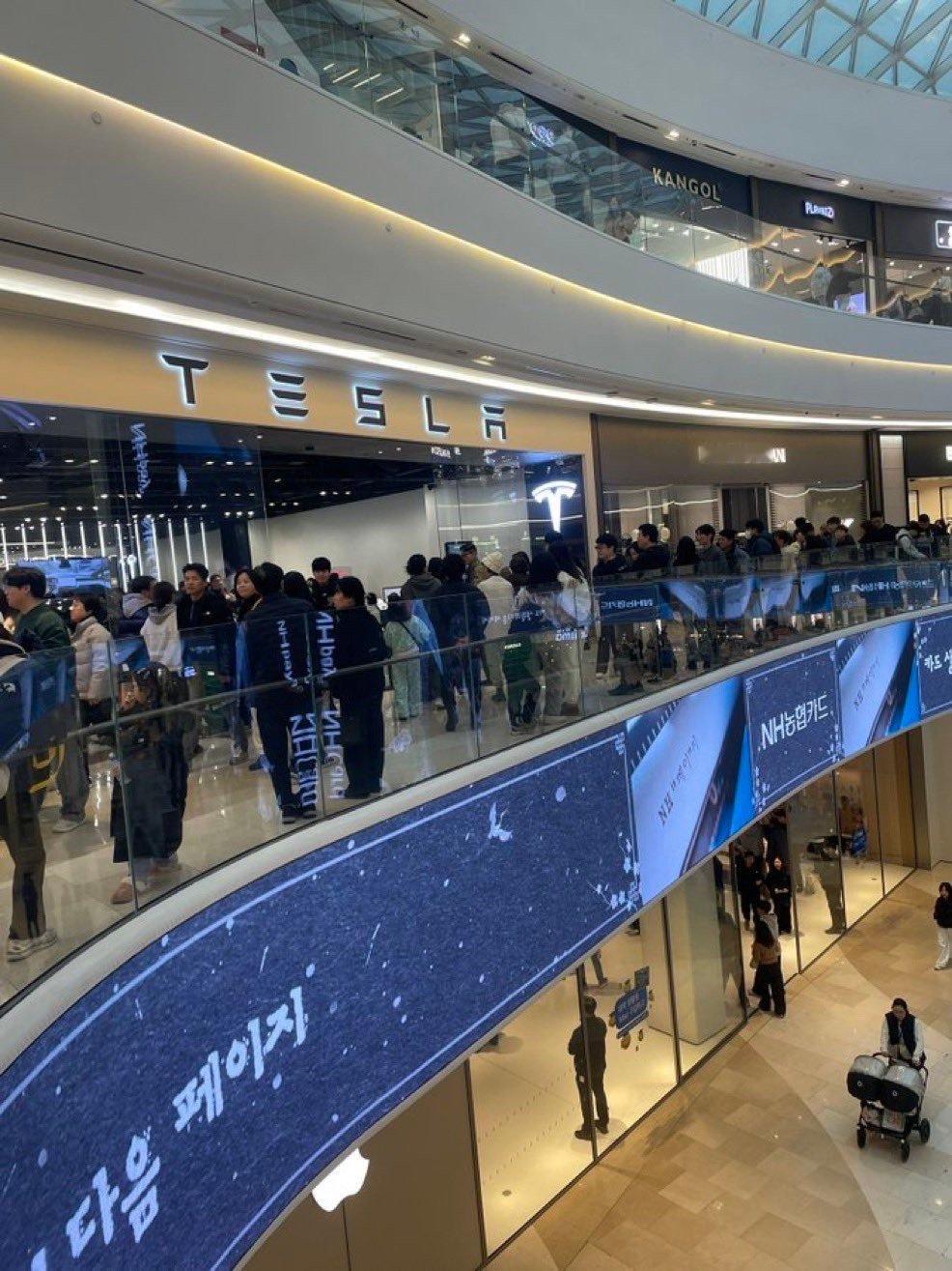 特斯拉在韩国人满为患…销量同比增长了一倍…电车出海大v聊车特斯拉