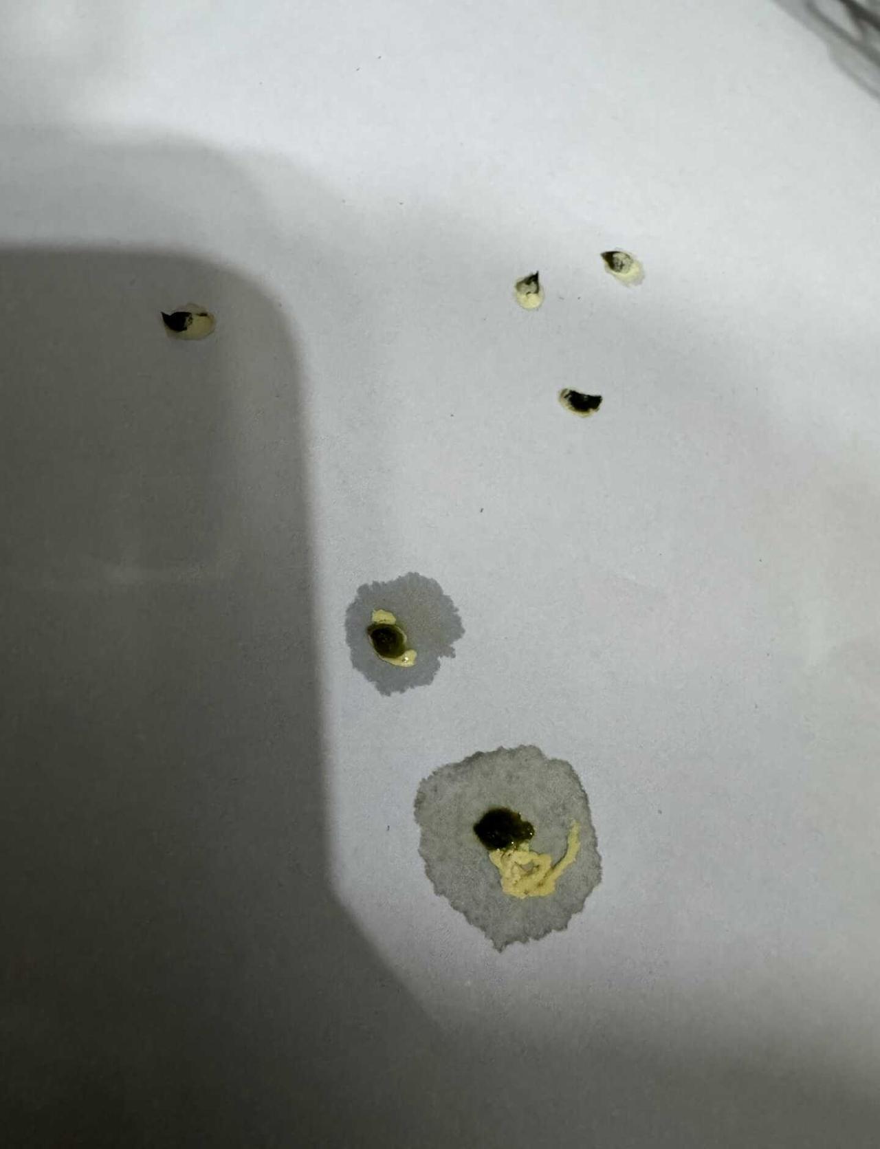求助！小虎皮孩子拉屎正常吗
孩子这几天便便都不成型
有一只吃饭喝水精神状态都很正