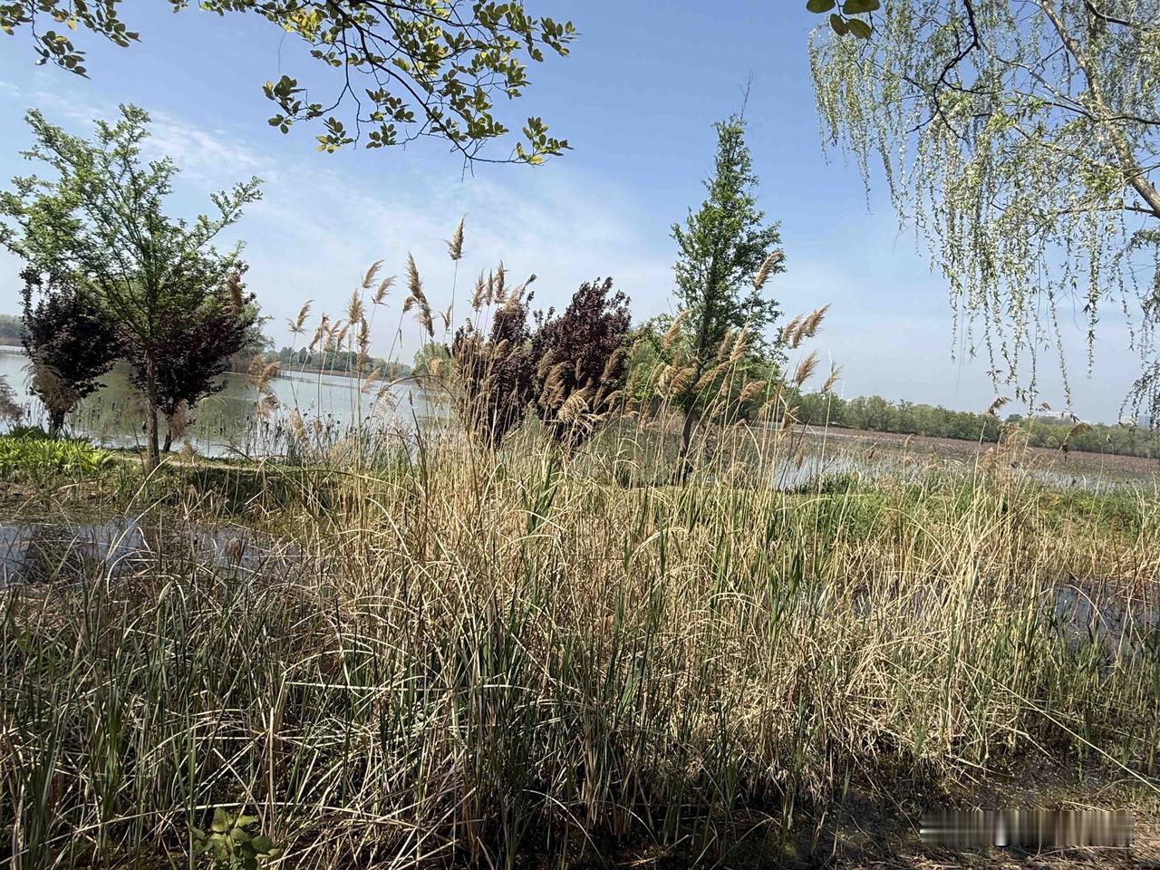 【小对联】
上：……？
下：卡壳。