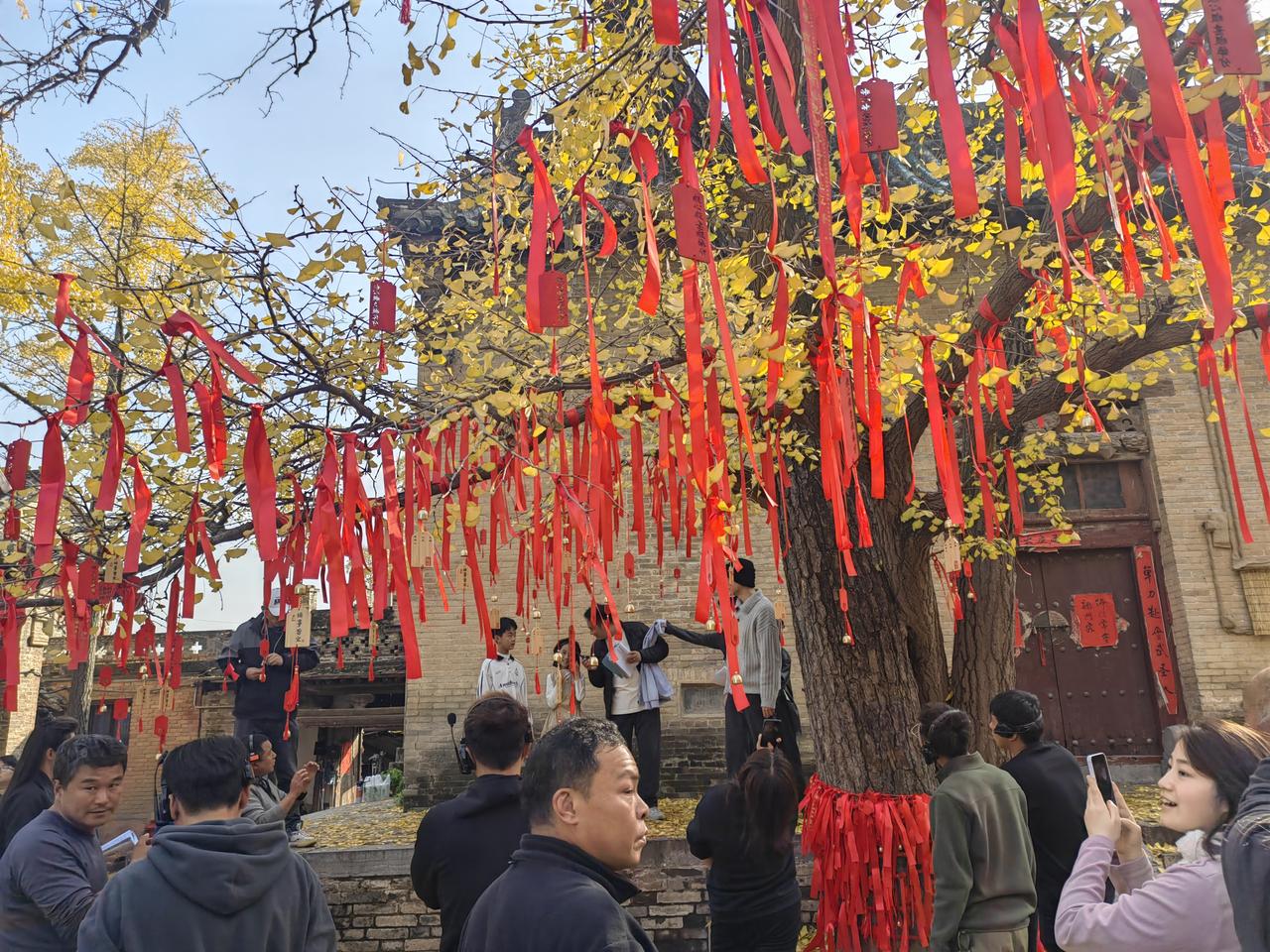 人走茶凉，
曾经觉得周围的人都是善意的，
当你离开后，
你才知道他们不是对你好，