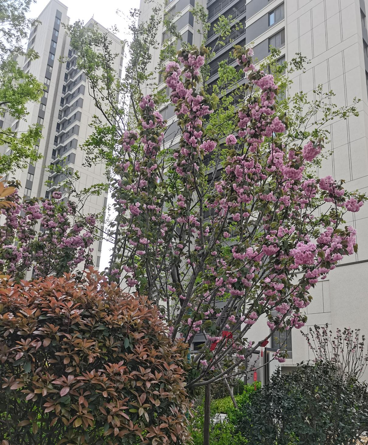 去给我逝去29年的母亲送钱，面对母亲，我长跪不起，把这些年积攒的心事，全部说给母