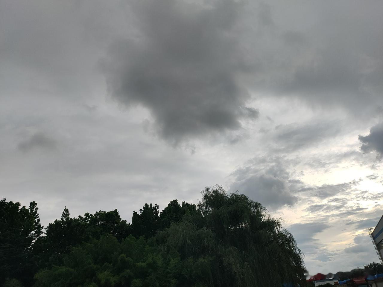现在整个泰安都在等台风。
我们早在头三天就进入一级战备了。
到底有还是没有啊？！