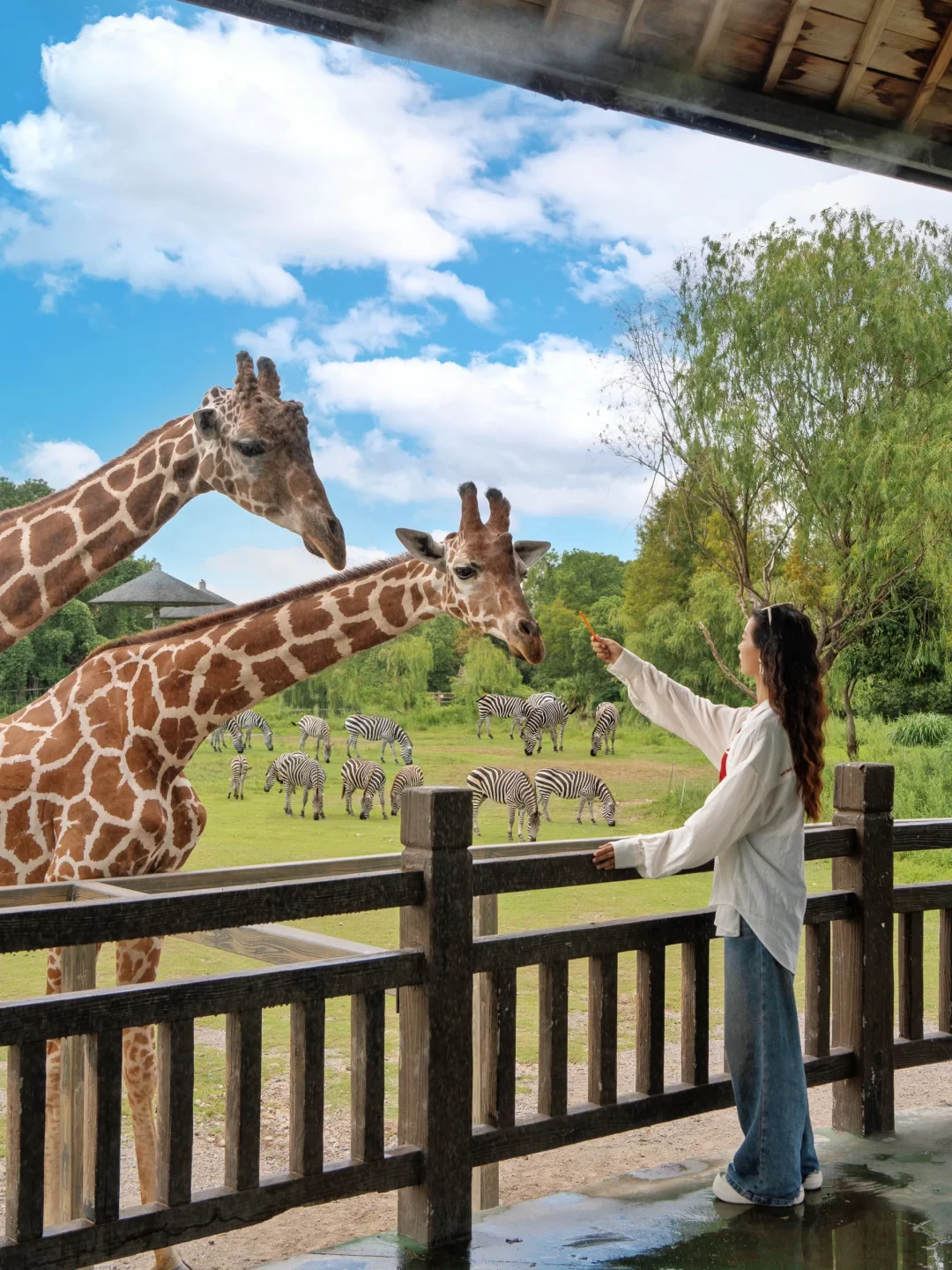 如果宁波只有有一天时间 反向旅游来这里‼️