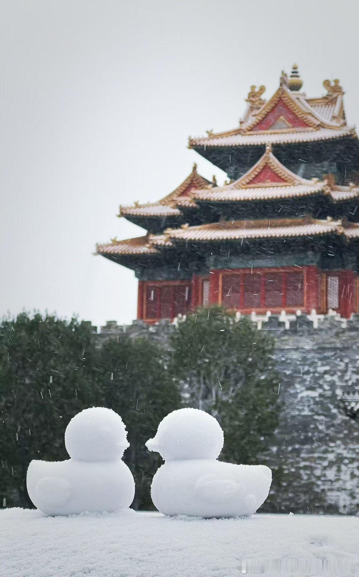 万物静候，初雪有信。心怀期待，从容向暖。 