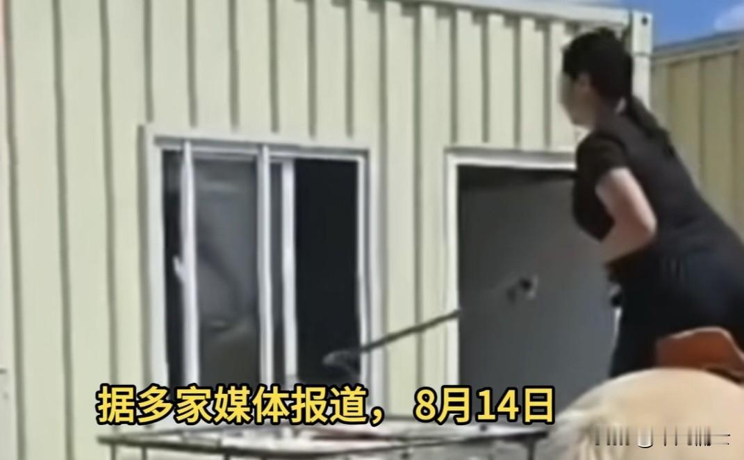 中国企业的海外之路真的不容易！这一次换成了蒙古，在8月中旬一群蒙古民族主义极端分