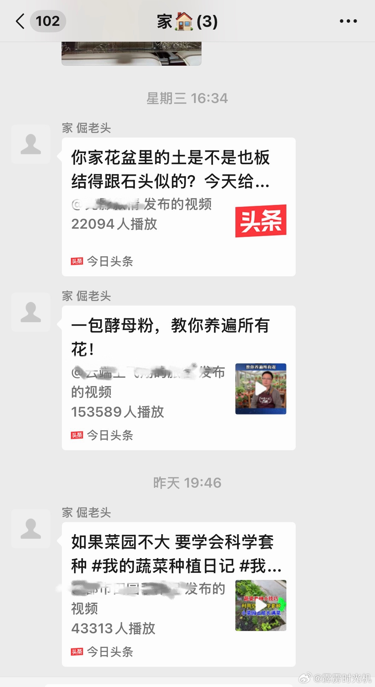 我爸最近解锁了家庭群当记事本功能，我现在对酵母粉养花的五种方法了如指掌～啃老博主