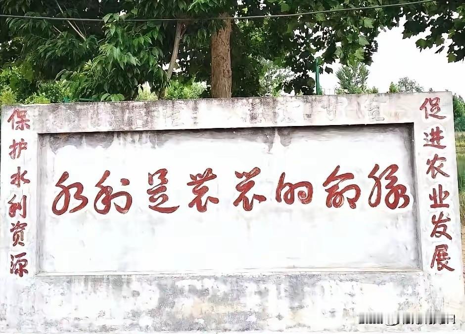 路过寸头，看到一面影壁墙上的宣传语，我看了半天也认不全，我看中间的两个字虽然不认