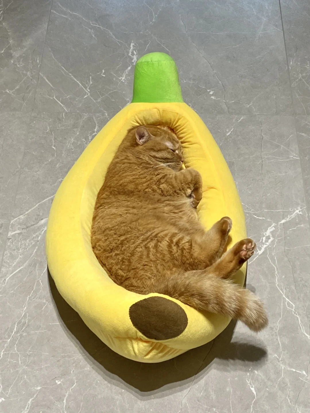 完美适配