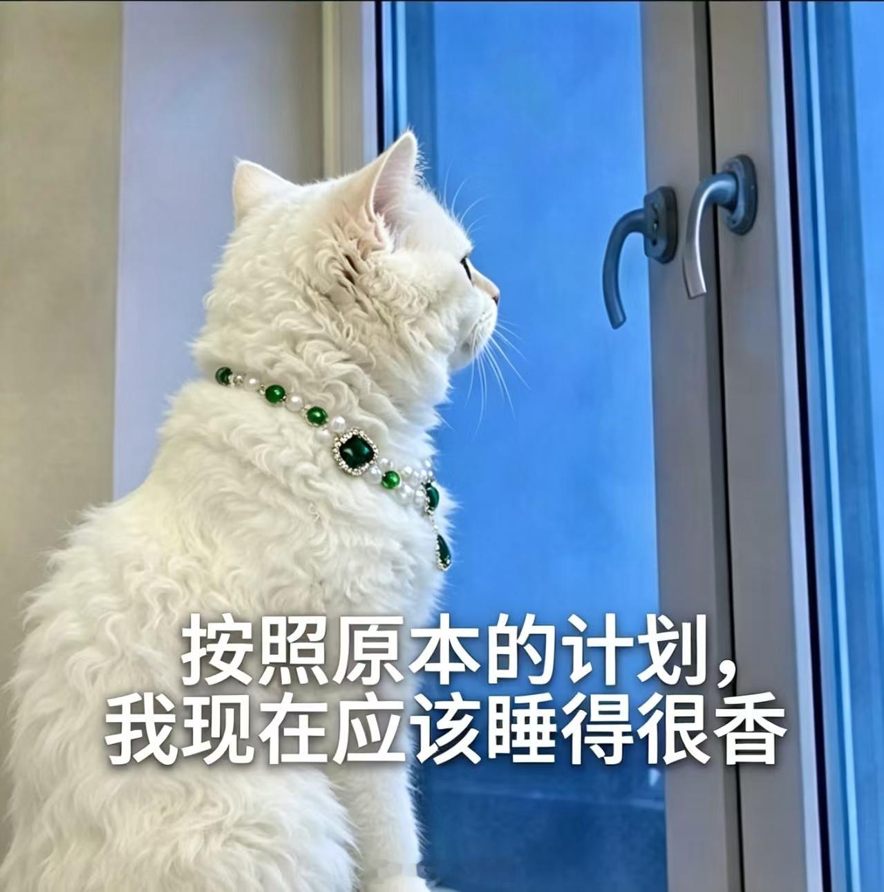 天亮不睡觉，天黑还在熬日夜都颠倒，颠倒～大花的嚯嚯铺