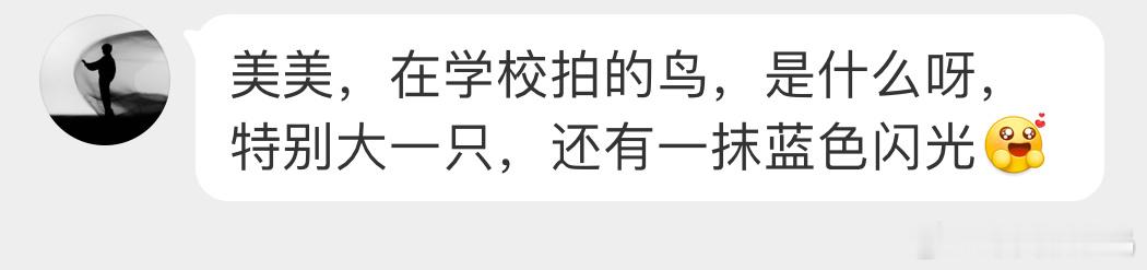 送分题环节～七夕给牛郎织女搭桥的那位[开学季] ​​​