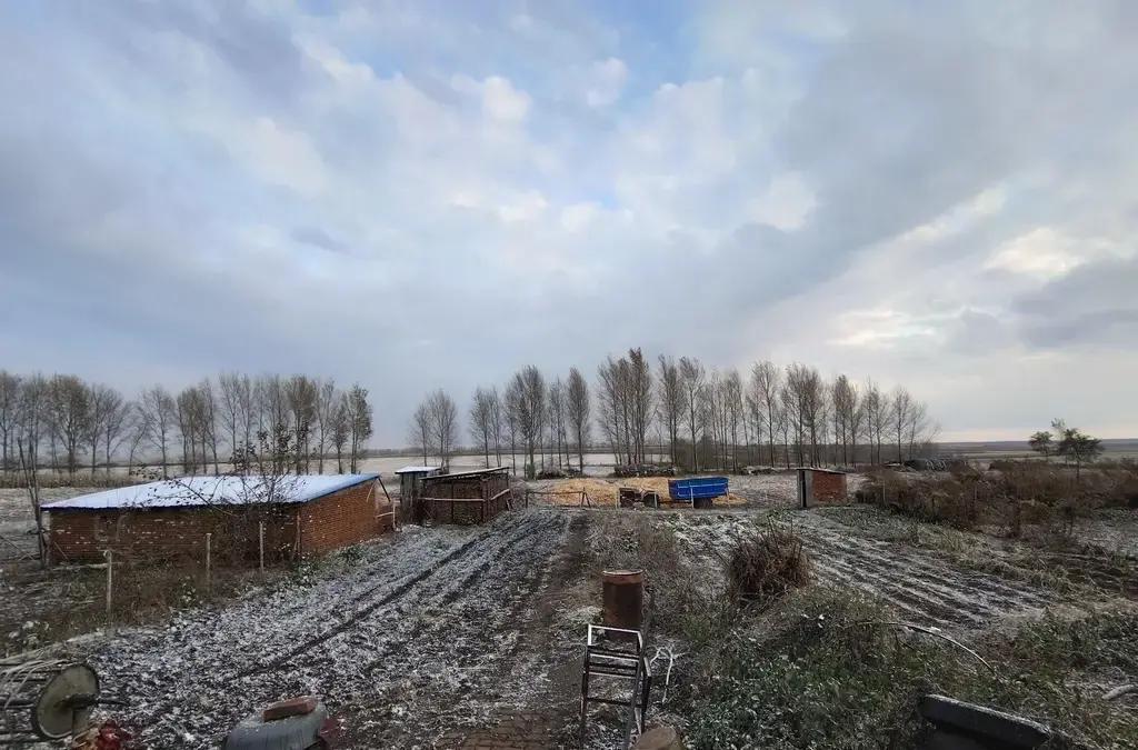 河南安阳乡村，正月初三这天，一大早村里男丁们就齐刷刷往祖坟赶，祭祖这事儿几十年没