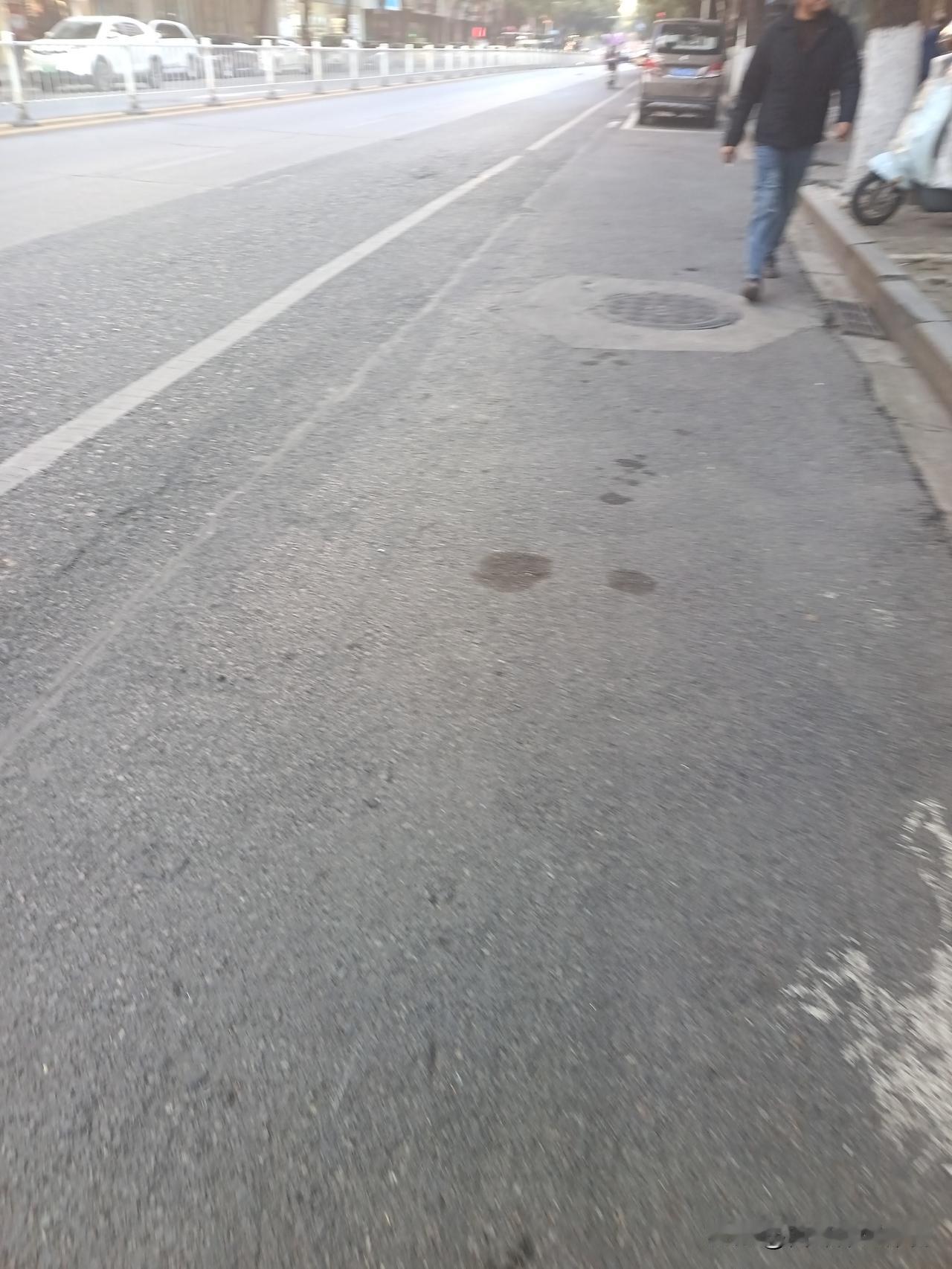 残荷在创作者眼里有那种凄凉的美，虽然有它曾经的辉煌时光，到了时间，残荷终归于