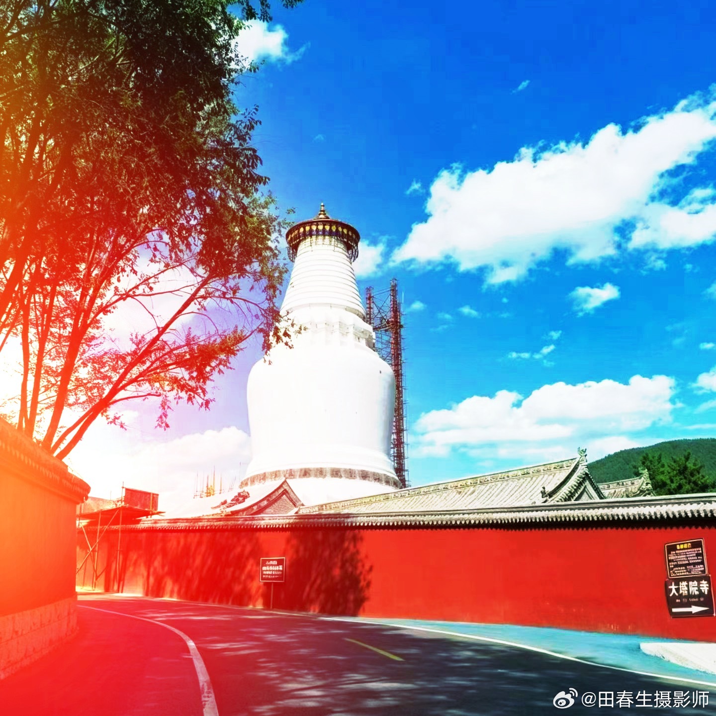 南无阿弥陀佛南无阿弥陀佛南无阿弥陀佛[祈祷][祈祷][祈祷]我的佛系生活微博佛学