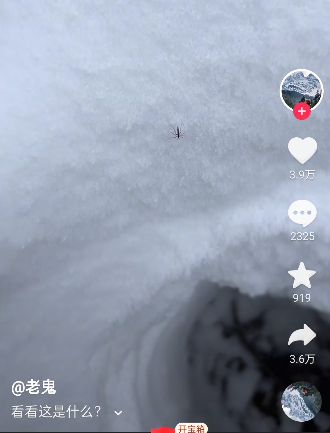 这个视频说4700米的雪山上，有蚊子