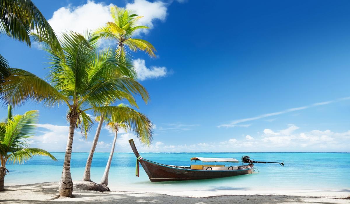 夏日生活打卡季