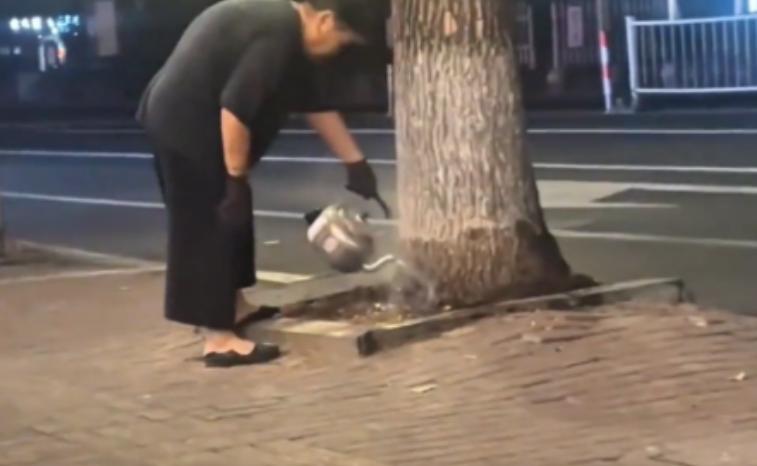 这树是找谁惹谁了？辽宁沈阳，一位大妈连续两周，每晚提着一壶刚烧开的水，到路边给大