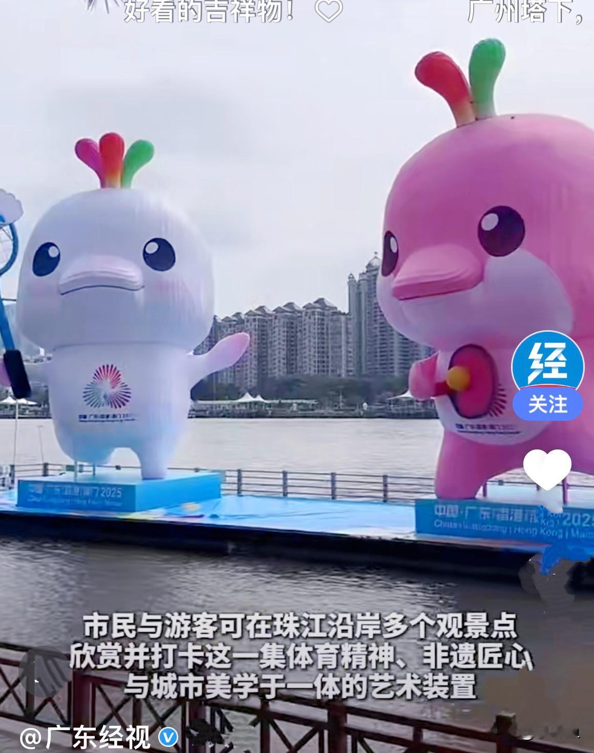 十五运会吉祥物“喜洋洋”与“乐融融”太可爱了，它俩是以中华白海豚为原型的“萌物”