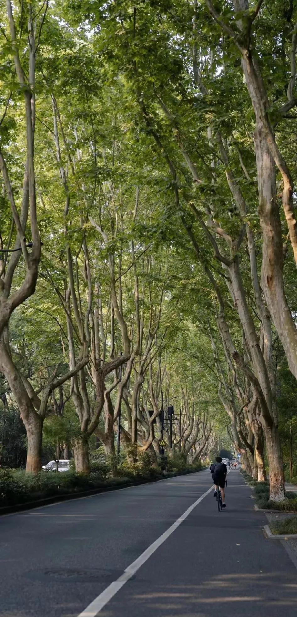我在学校当保安，
发现几个有意思的现象:
1，现在有些小学生书包背不动，离家近的