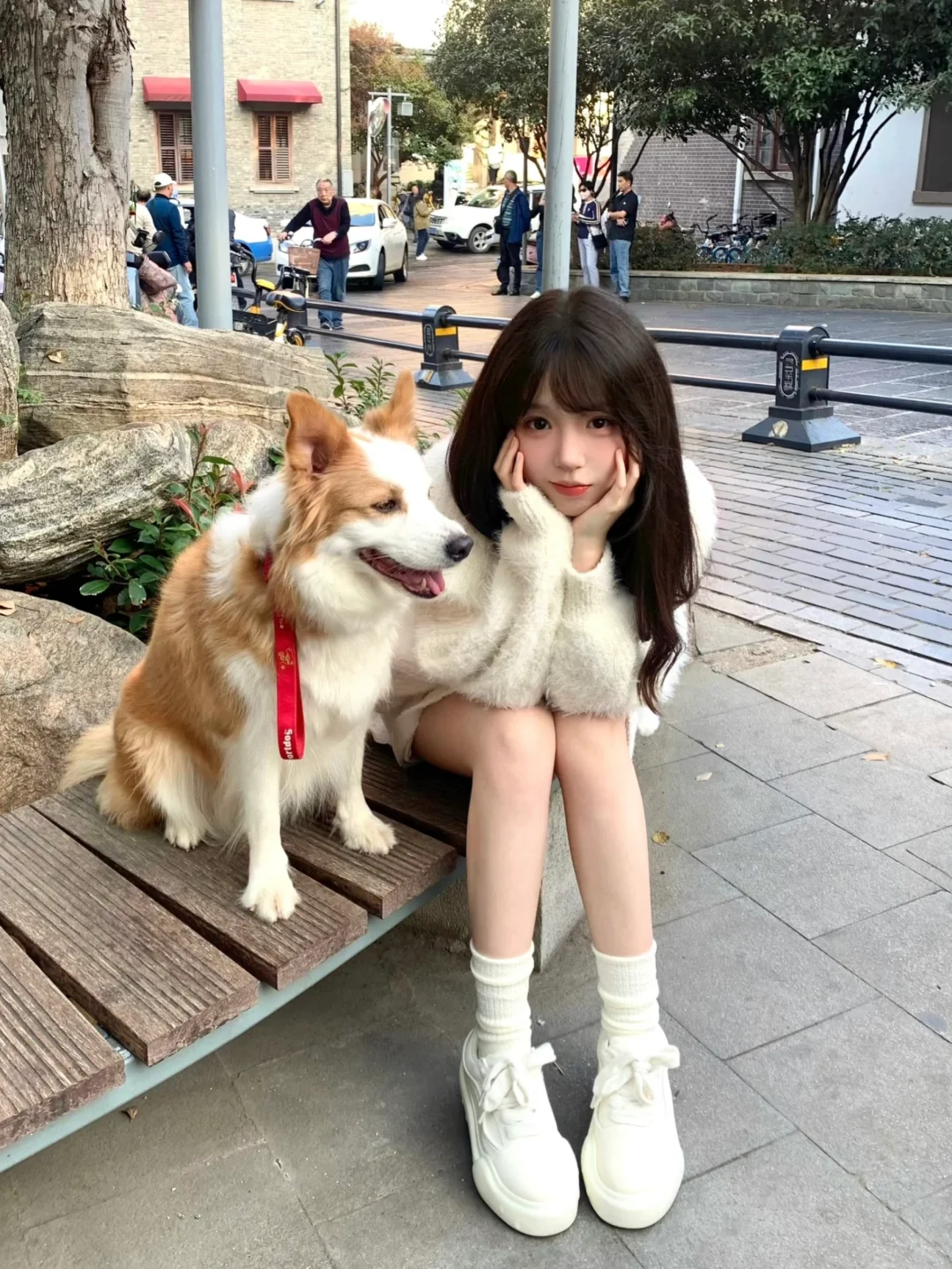 小狗的心只属于你