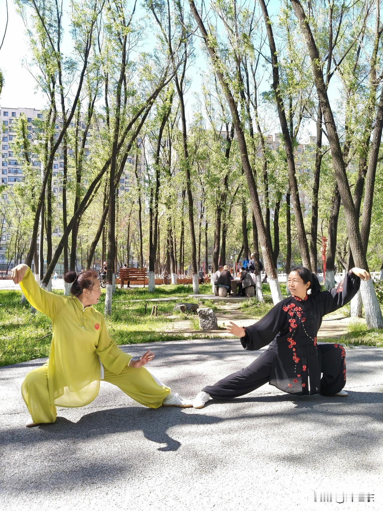 霓裳仙子
霓裳仙子太极身，
四六虚实阴阳分。
燕翎锋锐无敌势，
请续句……
（三