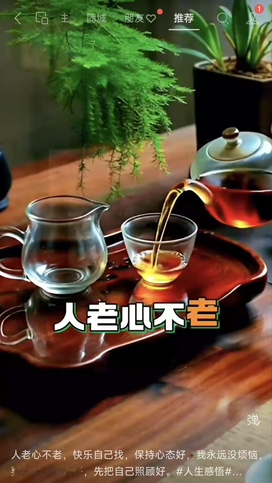 天净沙·人老心欢
人老心尚逍遥，
快乐自我寻邀。
心态平和梦好。
无愁无恼，
自