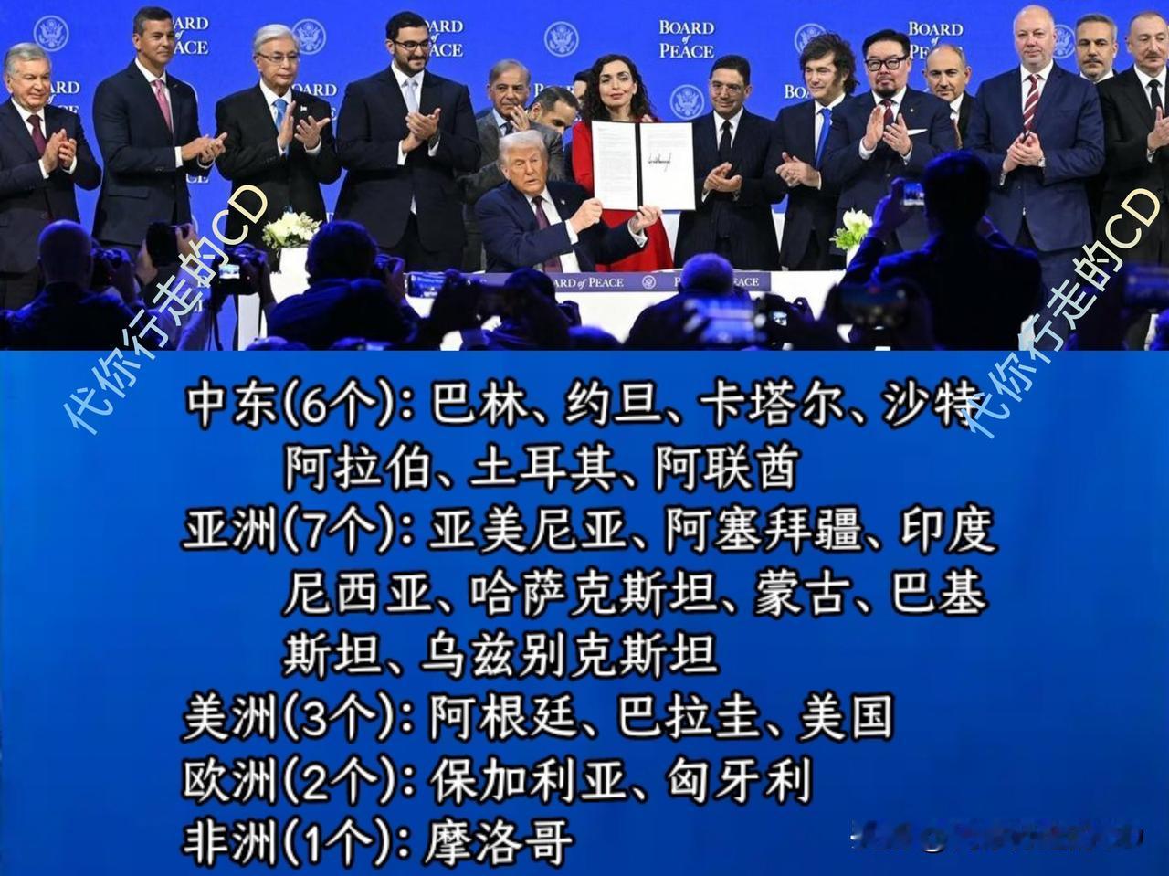 2025和平峰会、2026和平委员会...共同参与的，除了美国，还有以下11个国