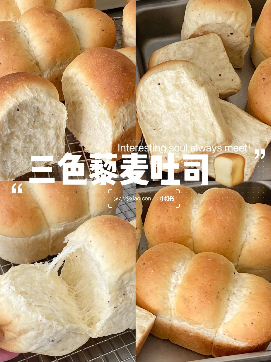 三色藜麦吐司｜沉浸式做吐司
