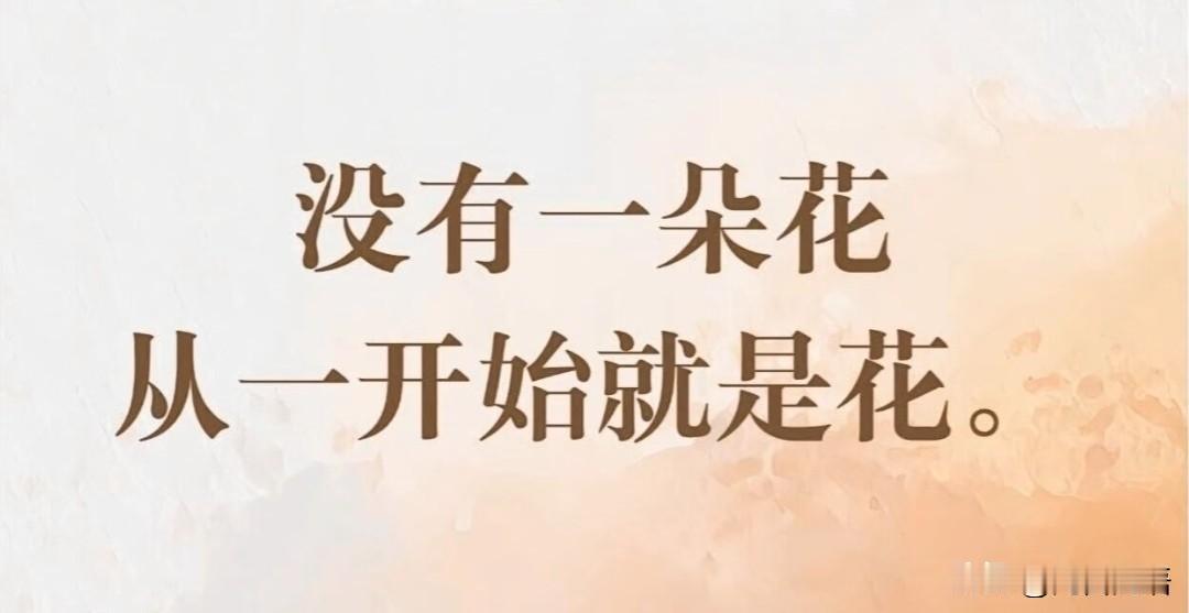 没有一朵花，从一开始就是花
 ——《摘自人民日报》与友友共勉
每一粒种子都曾在黑
