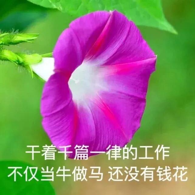 搞笑表情包 ​​​