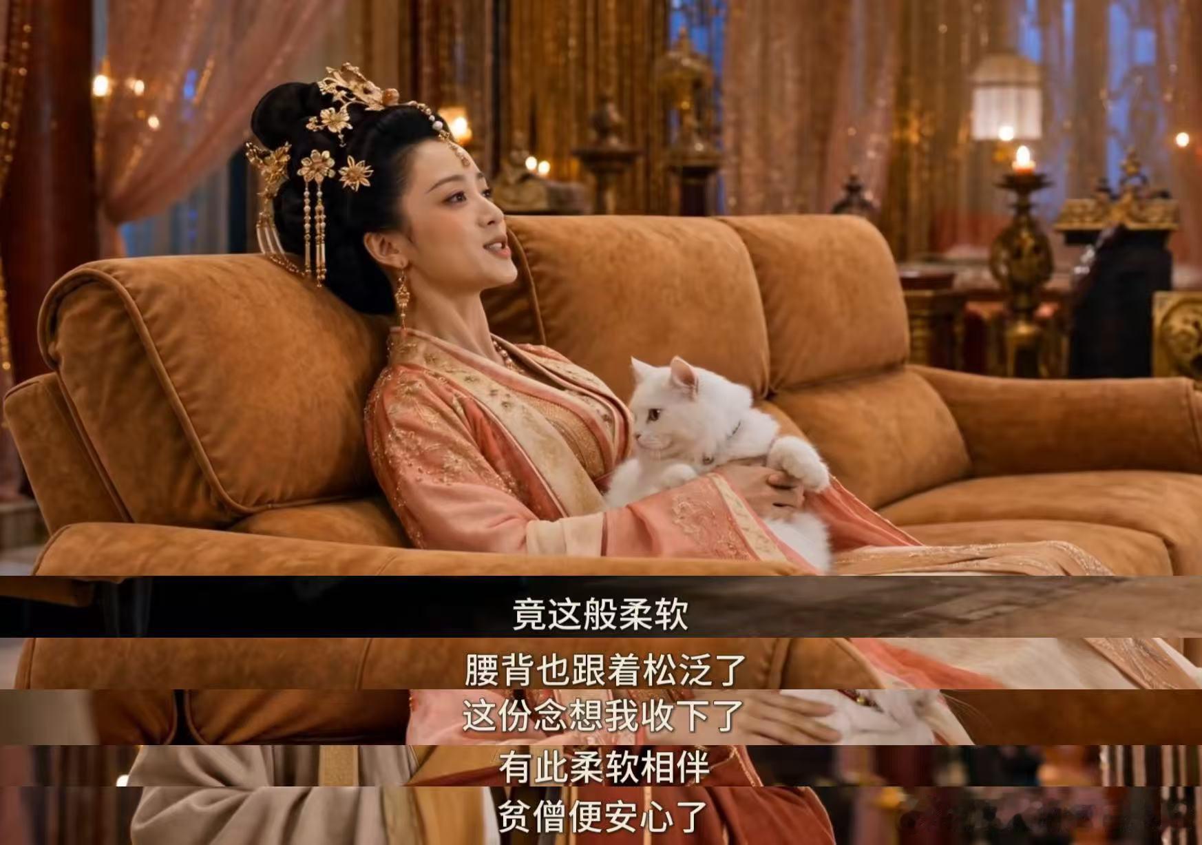 唐僧终于懂养猫人了 本来以为是正经剧情，结果唐僧这波直接戳中养猫人的笑点和泪点，