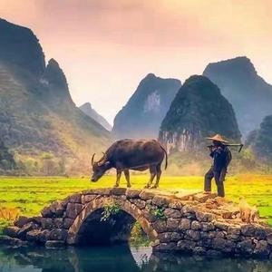 深巷旧友