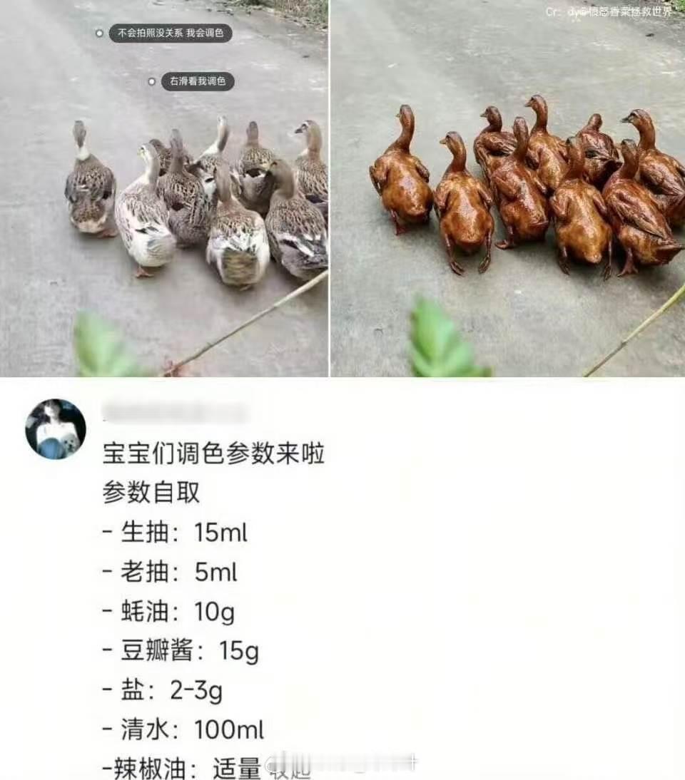 兄弟们，一定要加老抽，这个是用来调色的。 