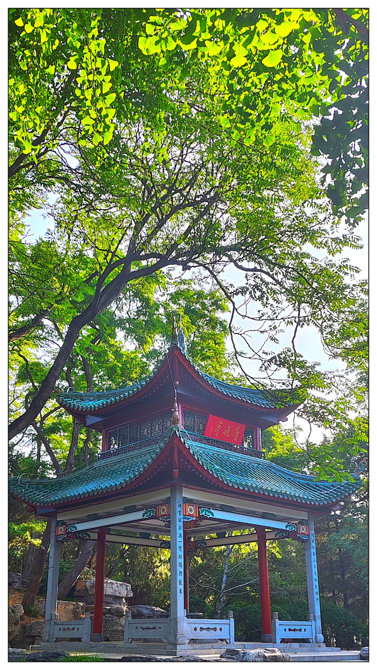 美景在陶然