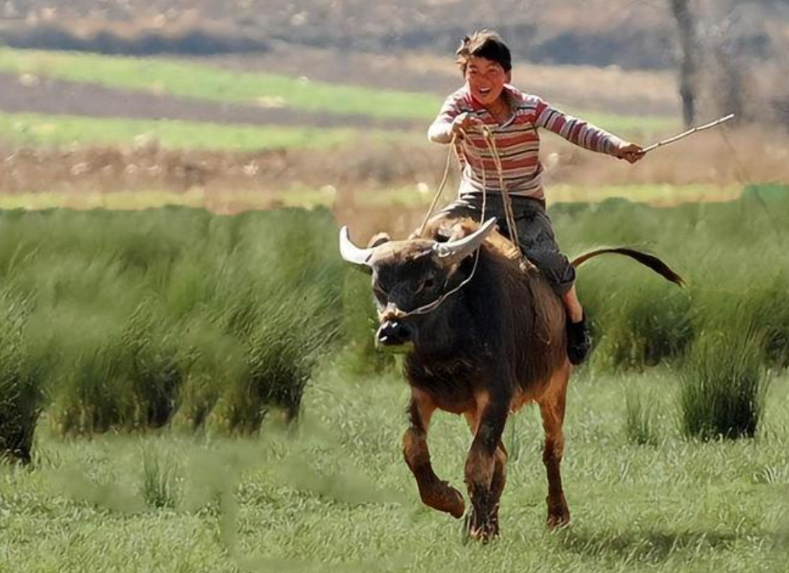 坚持是一种信仰，专注是一种态度！大家下午好，继续回来！在线的朋友，点个赞冒个泡！
