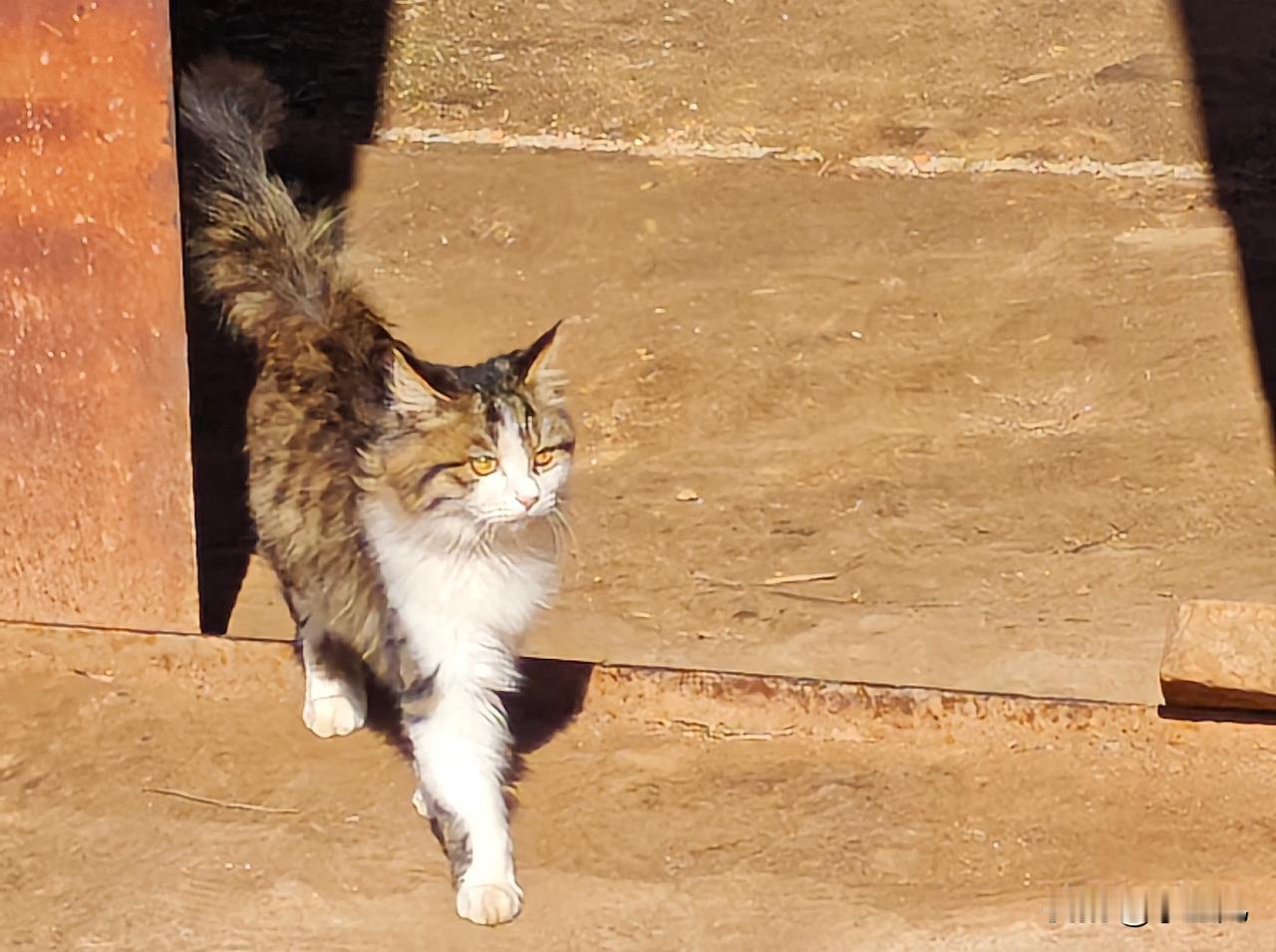 快来看看我新换的主页背景吧