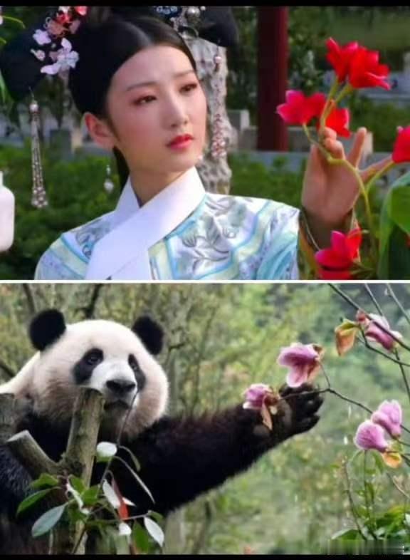 毛晓彤[超话]  哈哈哈哈哈哈哈哈哈姐我不想笑的[笑cry][偷笑]​​​