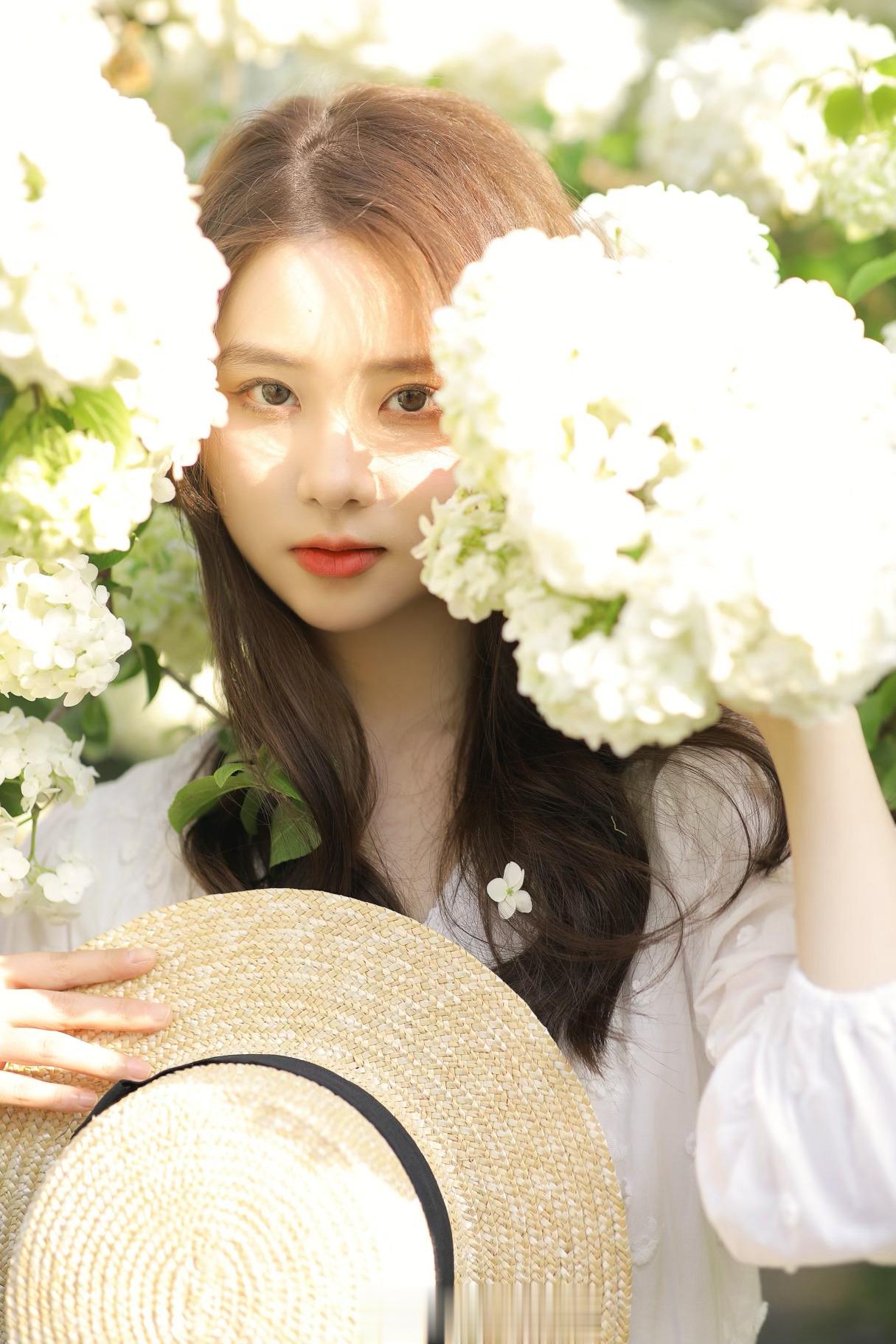 绣球花好温柔👒 ​​​