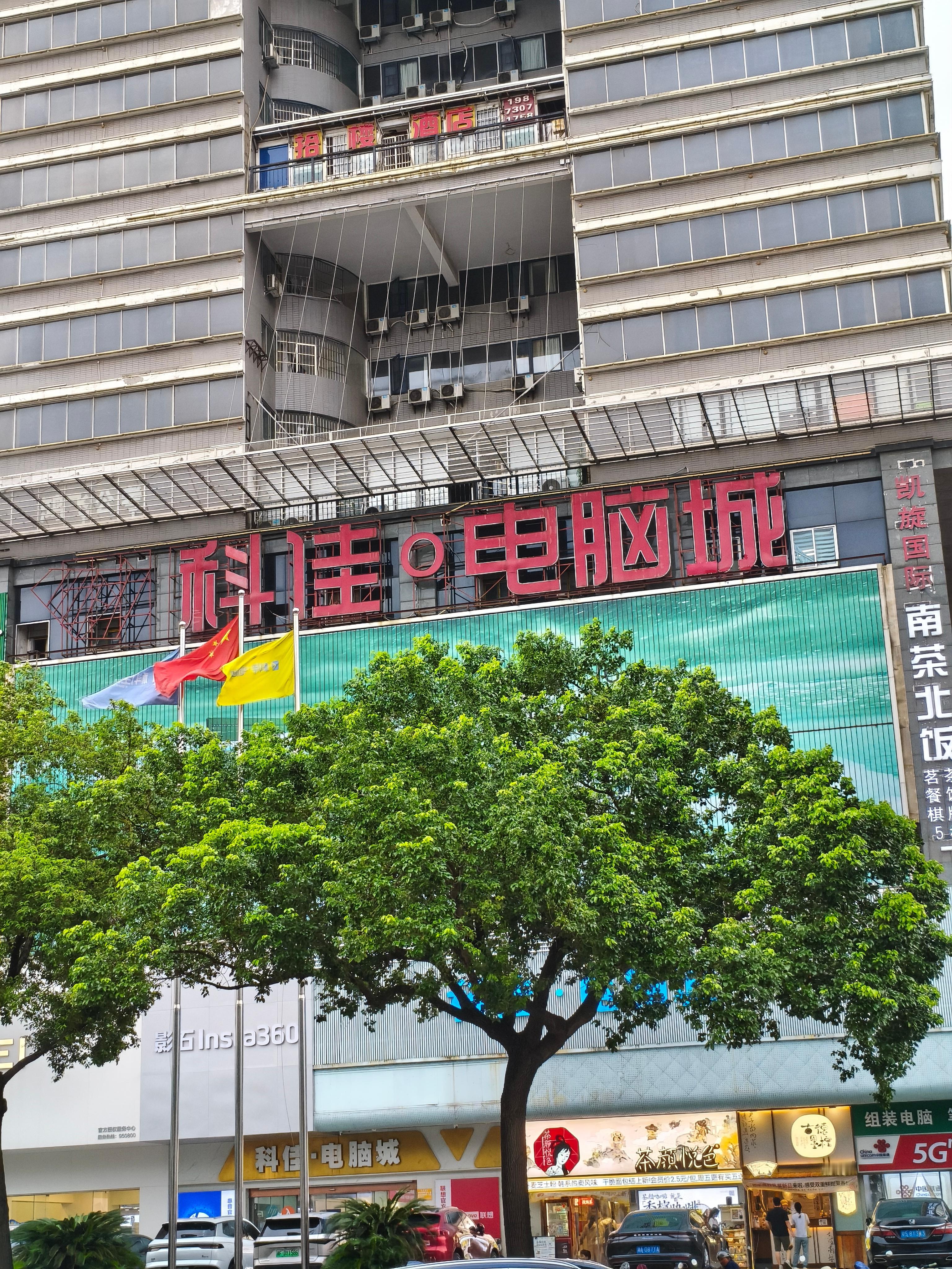 这棵樟树的颜色非常漂亮[可爱][可爱][可爱]  ​​​